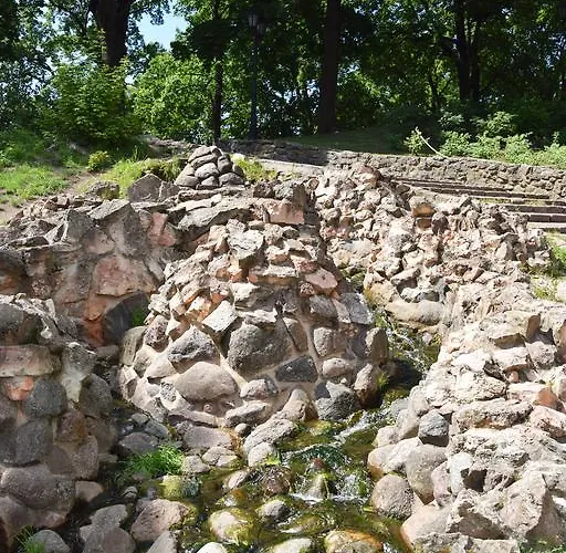 リバティー リガ